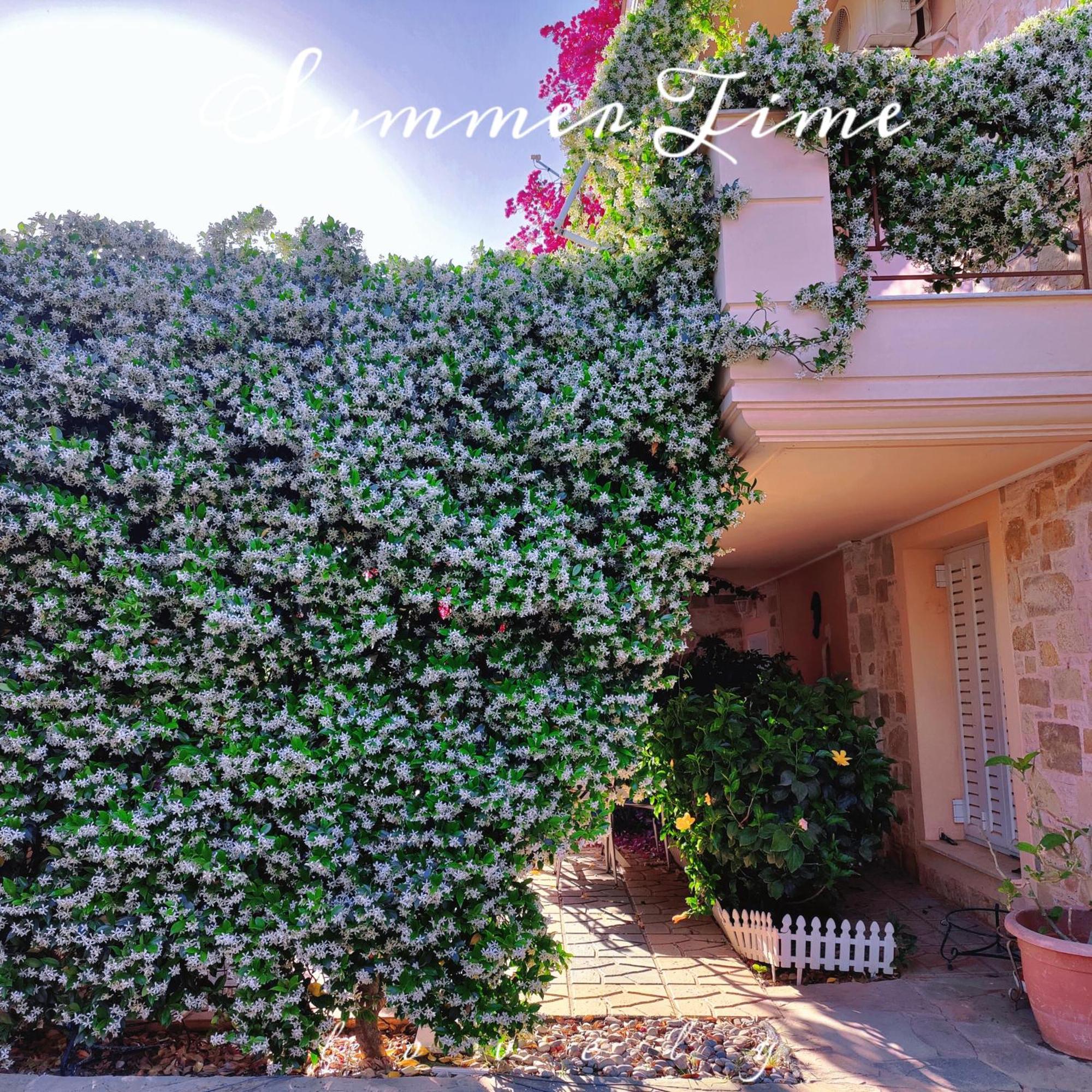 Hotel Artemis Garden Near Airport Esterno foto